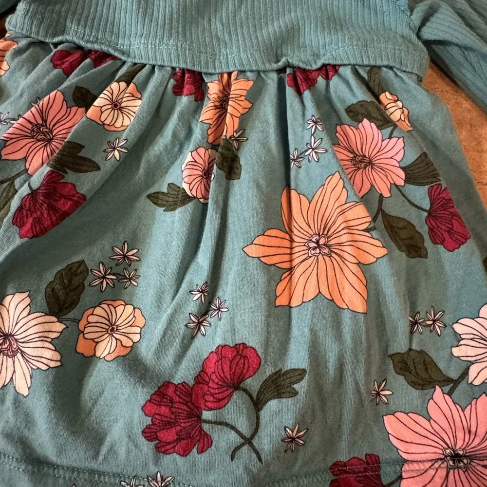 Baby Girl Long Sleeve Floral Teal Baby Dress, Size 9M